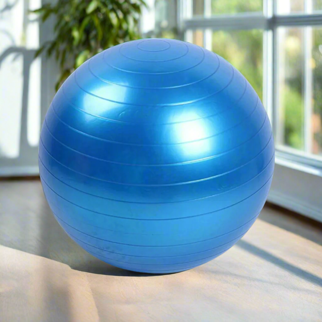 Exercise Training Ball