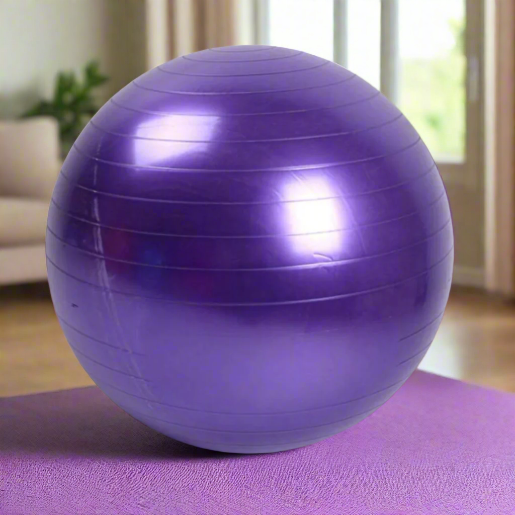 Exercise Training Ball